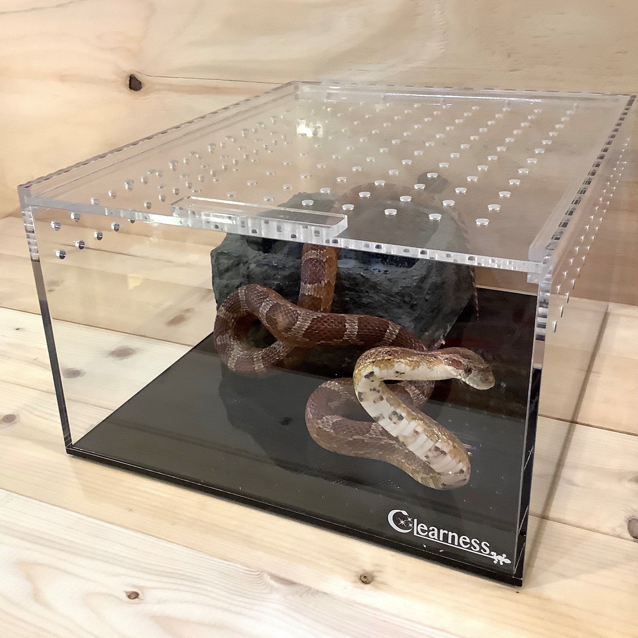 レプタイルケース RC-250 | ZION